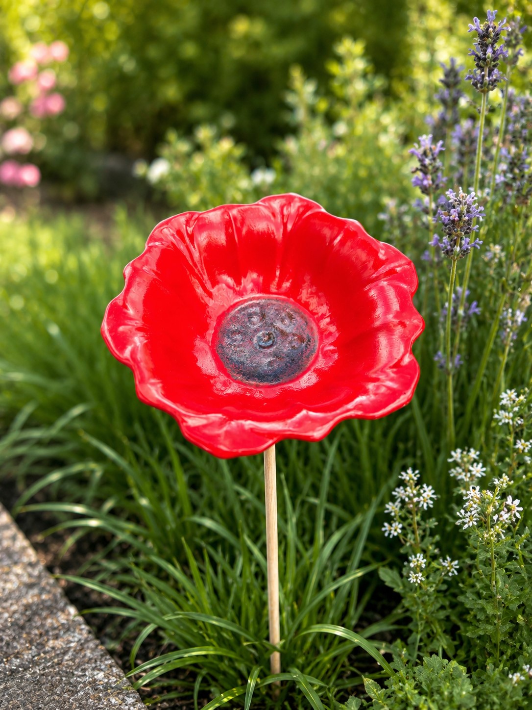 Mohnblüte.jpeg