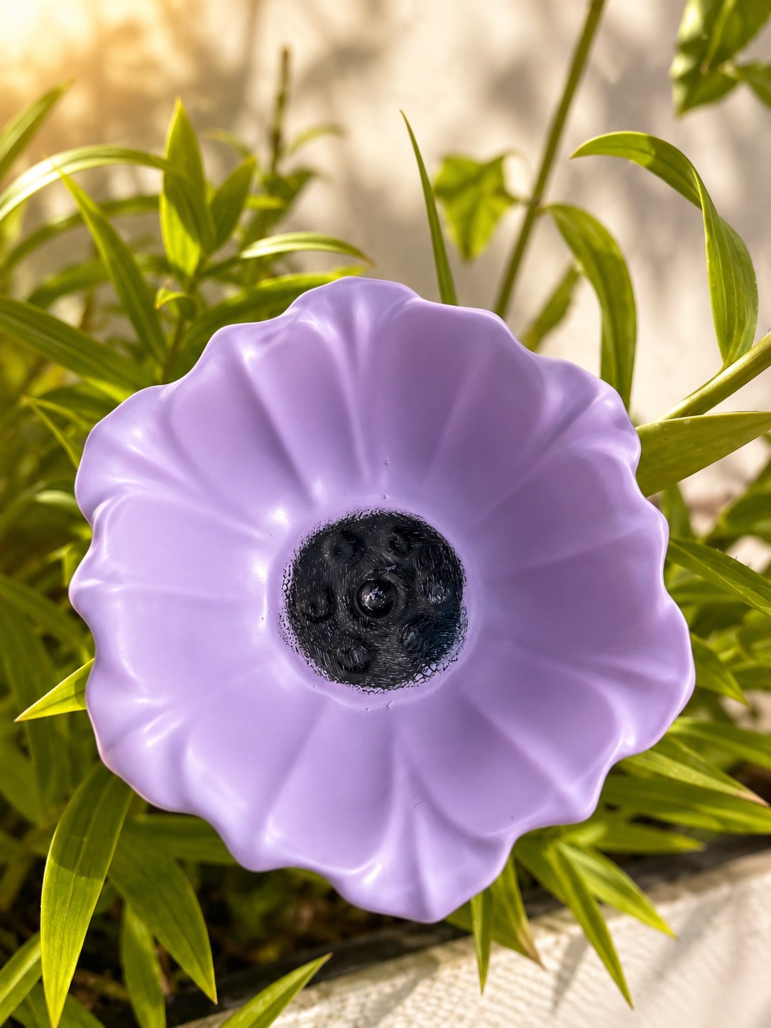 Mohnblüte lila.jpeg